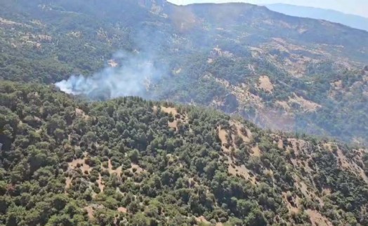 İzmir'de orman yangını 3 saatte kontrol altına alındı