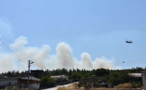 İzmir'deki orman yangını 6 saat sonra kontrol altına alındı