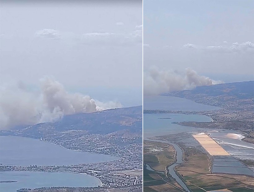 İzmir'de orman yangını: Kontrol altına alındı