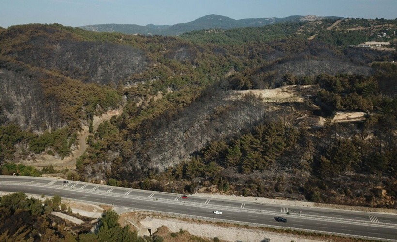 İzmir'deki orman yangını; 21 saat sonra kontrol altına alındı