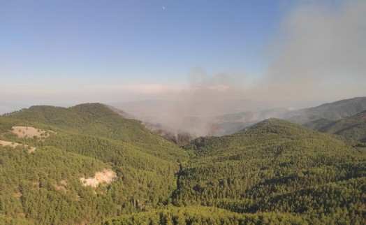 İzmir’de orman yangını; 11 saattir müdahale ediliyor