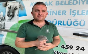 Konak’ta çöpten ‘Umut’ doğdu