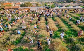 Lavanta Festivali 9. kez ziyaretçileriyle buluştu