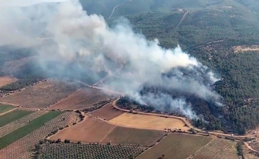 Manisa'da orman yangını