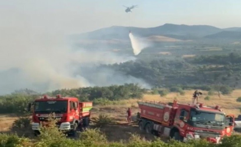 Manisa'da orman yangını; 4 saatte kontrol altına alındı