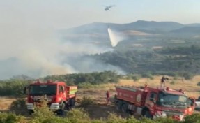 Manisa'da orman yangını; 4 saatte kontrol altına alındı