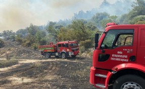 Manisa'daki orman yangını kontrol altına alındı