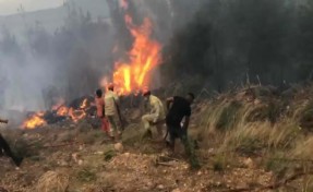 Manisa ve Aydın'da ormana düşen yıldırım yangın çıkardı