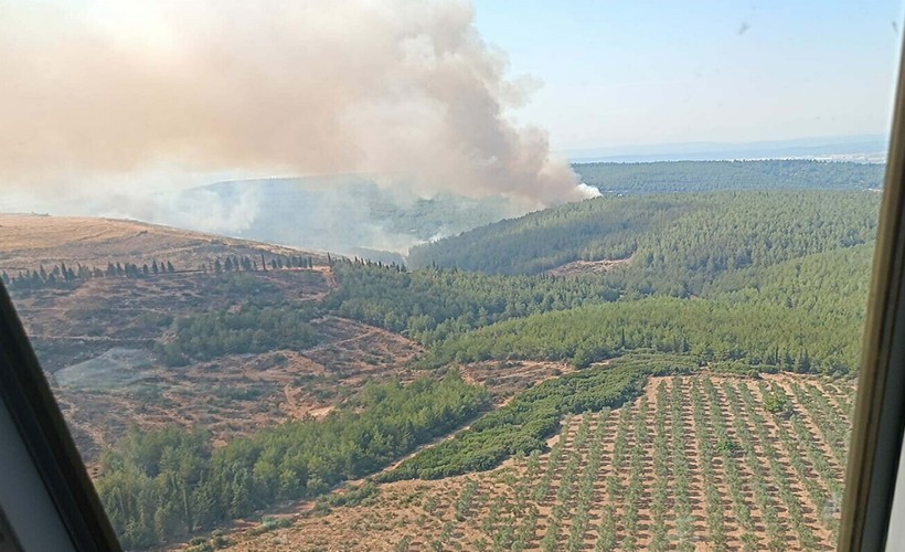 Menderes'teki orman yangını kontrol altına alındı