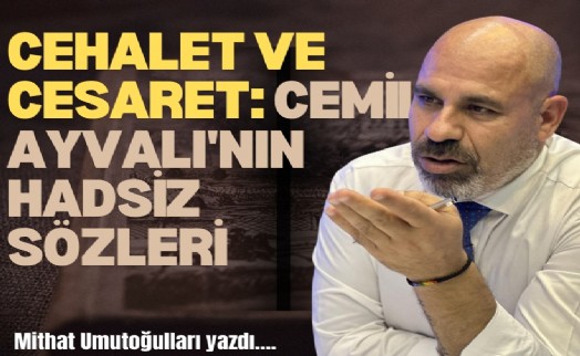 Cehalet ve cesaret: Cemil Ayvalı'nın İlber Ortaylı'ya hadsiz sözleri