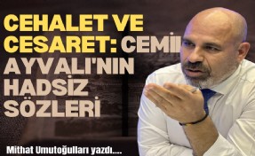 Cehalet ve cesaret: Cemil Ayvalı'nın İlber Ortaylı'ya hadsiz sözleri