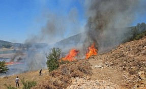 Muğla'da orman yangını