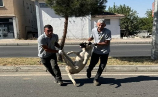 Resmi Gazete'yi bile beklemeden... 'Katliam yasası' yürürlükte