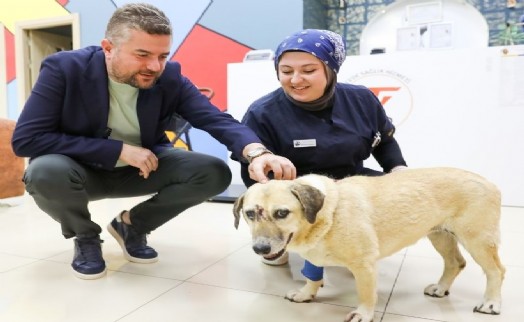 Saldırıya uğrayan can dostuna Buca Belediye Başkanı Duman'dan ziyaret