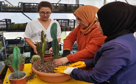 Büyükşehir'den 'Güçlendirme Tohumları Projesi'