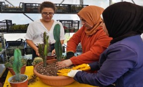 Büyükşehir'den 'Güçlendirme Tohumları Projesi'