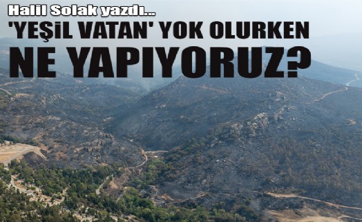 'Yeşil Vatan' yok olurken, ne yapıyoruz?