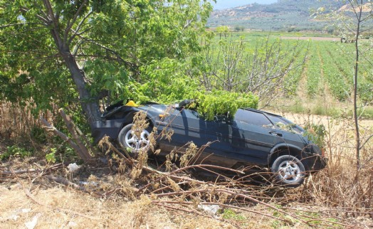 Ağaca çarpan otomobilin sürücüsü ve eşi öldü