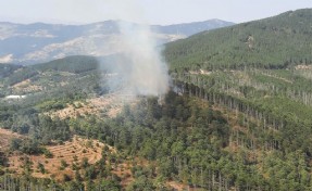 Aydın'da orman yangını