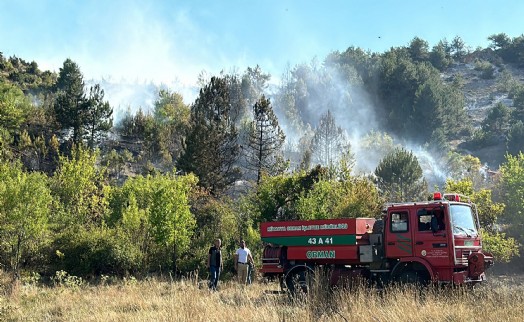 Bahçe yangını ormana sıçradı