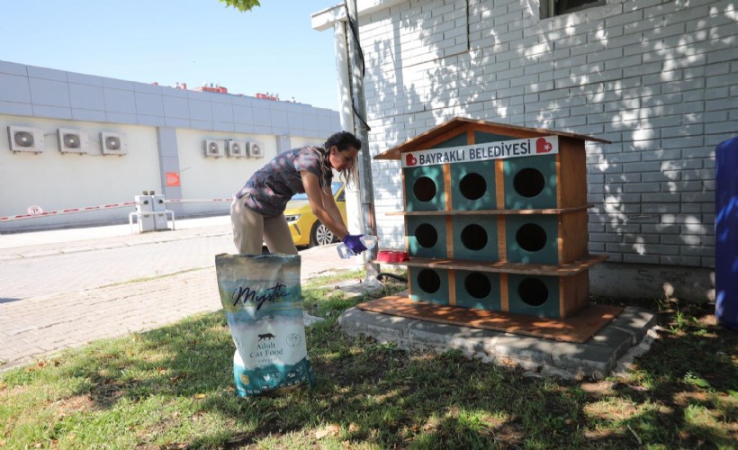 Bayraklı'da pati evlerinin sayısı artıyor