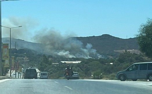 Bodrum'daki makilik yangını kontrol altına alındı