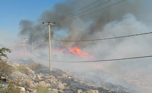 Bodrum'da otluk ve makilik yangını 1 saatte kontrol altına alındı