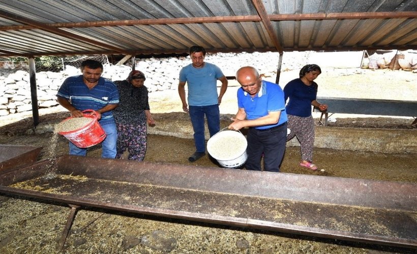 Büyükşehir yangından etkilenen köylerin yaralarını sarıyor