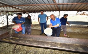 Büyükşehir yangından etkilenen köylerin yaralarını sarıyor