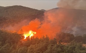 Ege'de yangın kabusu: Aydın ve Muğla'daki alevlere müdahalede 2. gün