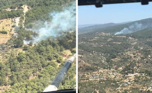 Kemalpaşa'daki orman yangını kontrol altına alındı