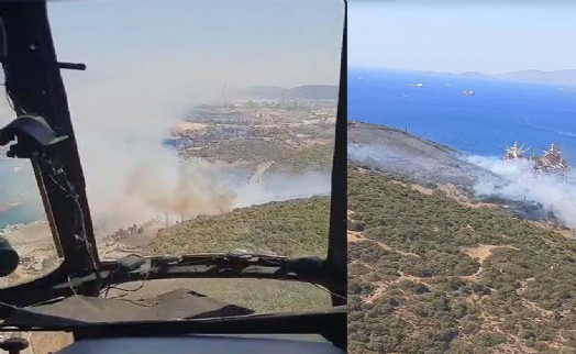 İzmir'deki orman yangını 2 saatte kontrol atına alındı