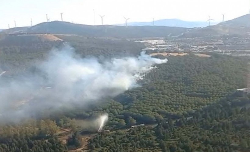 İzmir'deki orman yangını 1,5 saatte söndürüldü