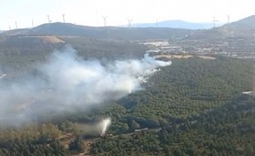 İzmir'deki orman yangını 1,5 saatte söndürüldü