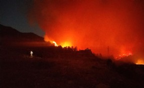 Karşıyaka'daki orman yangını; 87 ev boşaltıldı, 16 ev yandı