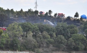 Kütahya’da orman yangınında 10 dekarlık alan zarar gördü