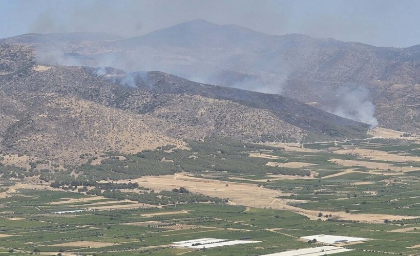 Manisa'da orman yangını