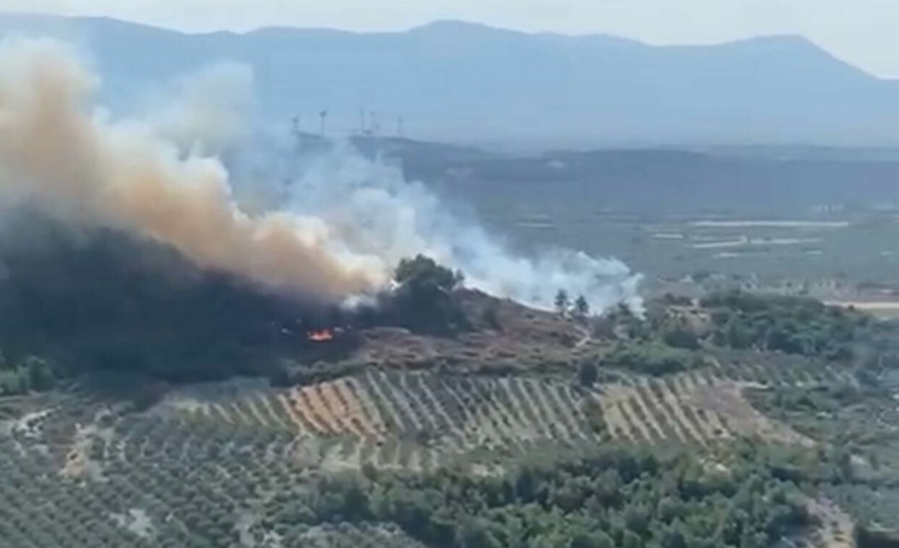 Manisa'da çifte orman yangını