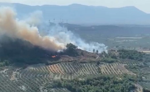 Manisa'da çifte orman yangını