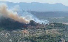 Manisa'da çifte orman yangını