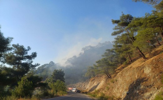 Manisa'daki orman yangını 3. günde kısmen kontrol altında; 290 hektar alan zarar gördü