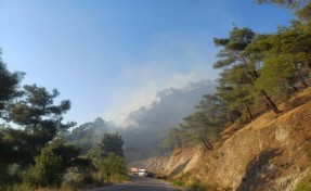 Manisa'daki orman yangını 3. günde kısmen kontrol altında; 290 hektar alan zarar gördü