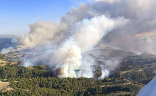 Manisa yangını ikinci gününde: İki mahalle tahliye edildi