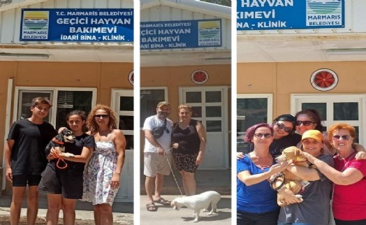 Marmaris'te 7 ayda 157 hayvanı sahiplendirdi