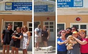 Marmaris'te 7 ayda 157 hayvanı sahiplendirdi