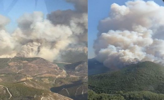 Menderes'te orman yangını