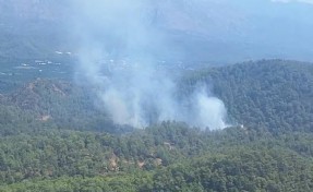 Muğla'daki orman yangını kontrol altına alındı