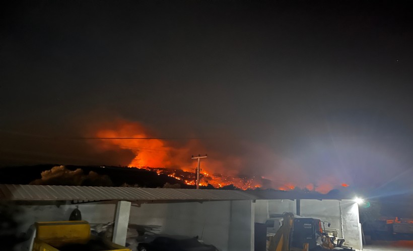 Muğla Milas'ta orman yangını; 2 köy boşaltıldı