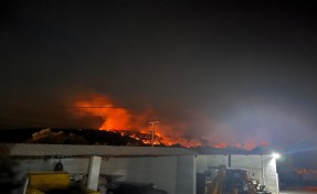 Muğla Milas'ta orman yangını; 2 köy boşaltıldı