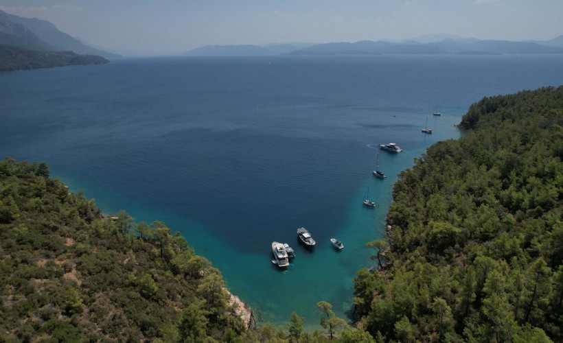 Muğla'da doğayı korumak için açılan dava sayısı 220'ye ulaştı